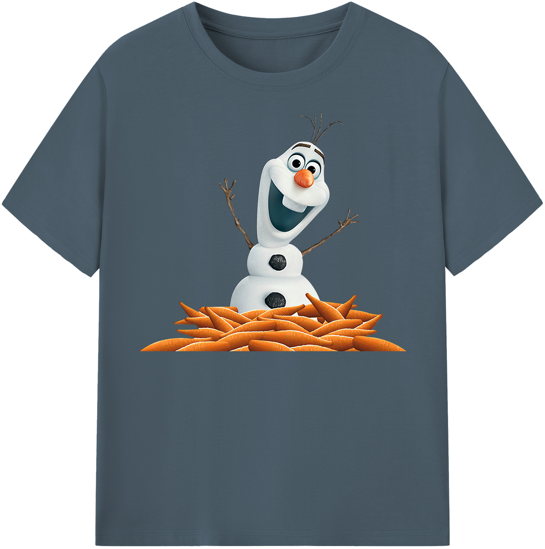 （画像用） アナと雪の女王 アンナ エルサ Frozen Anna Elsa 綿100％半袖Tシャツ（フロントプリント）